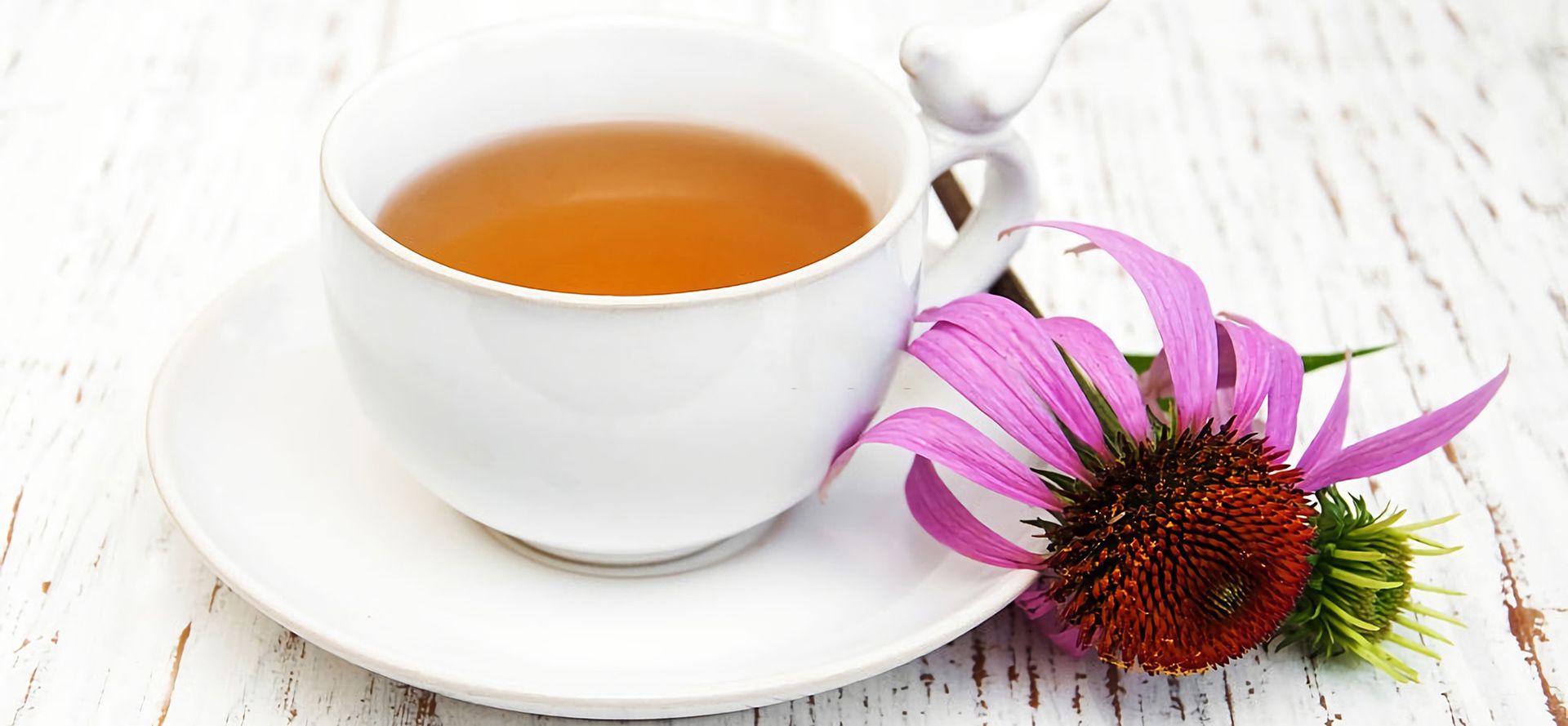 Cup Of Echinacea Tea.