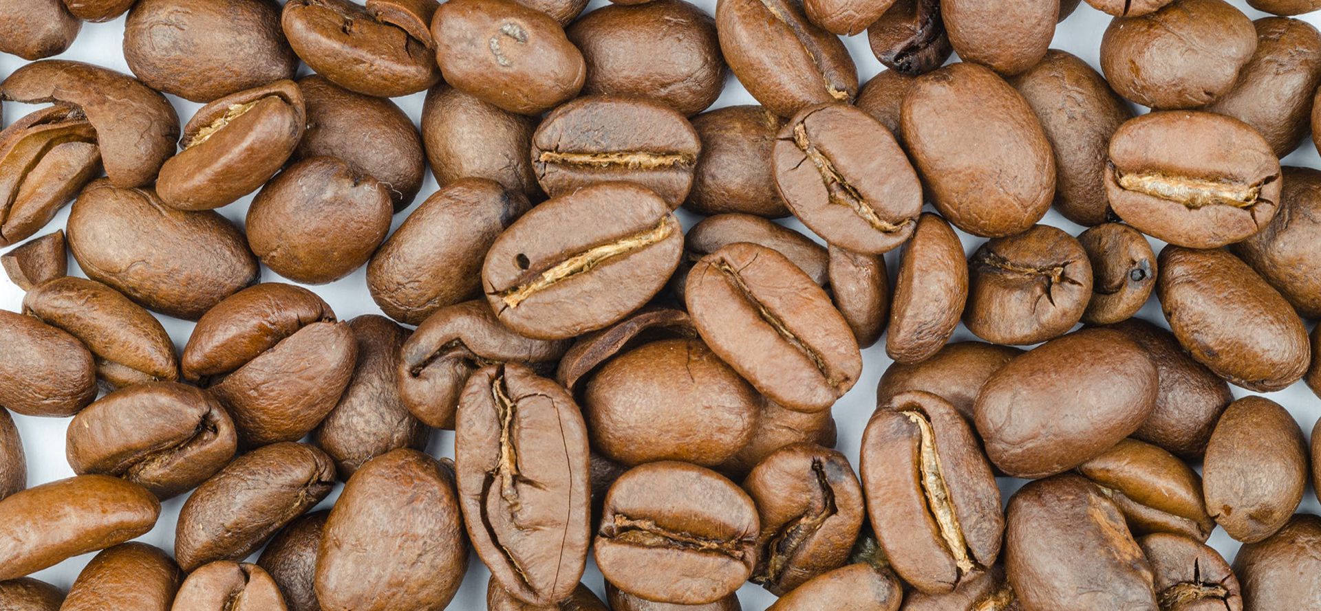 Liberica Coffee Beans.