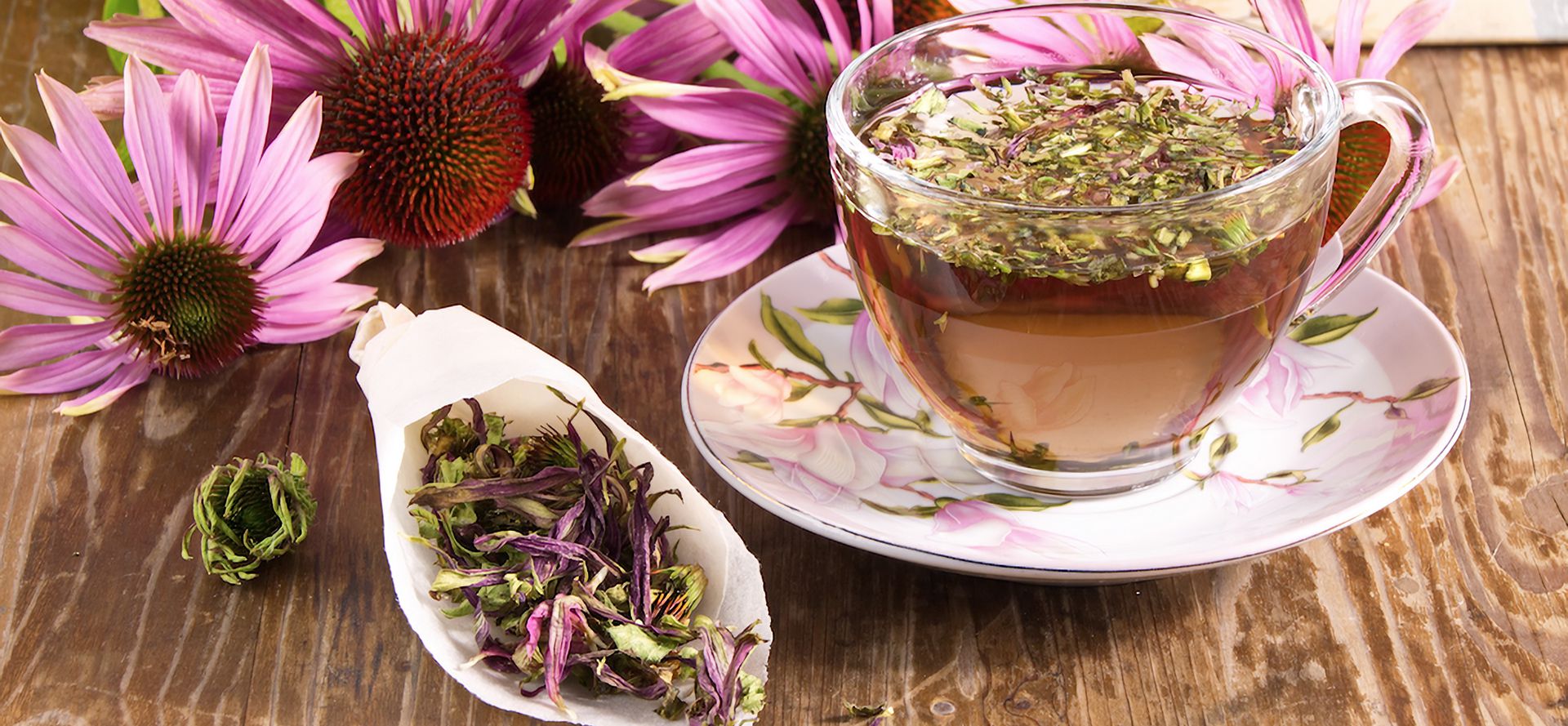 Organic Echinacea Tea.
