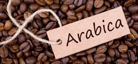 Popular Arabica Coffee Beans.