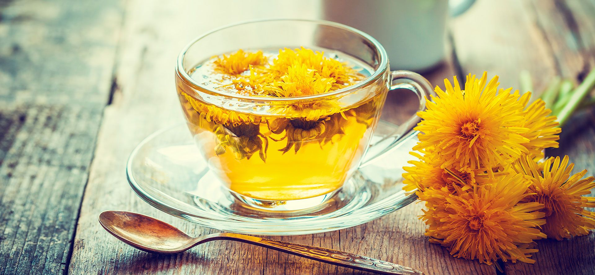 Dandelion tea in a cup