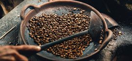Kopi Luwak The Worlds Peculiar Coffee Bean